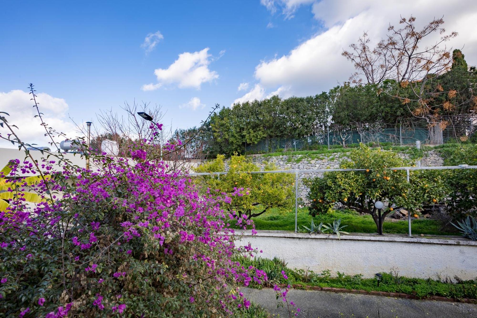 Aparthotel Rose Of Crete Platanés Exterior foto